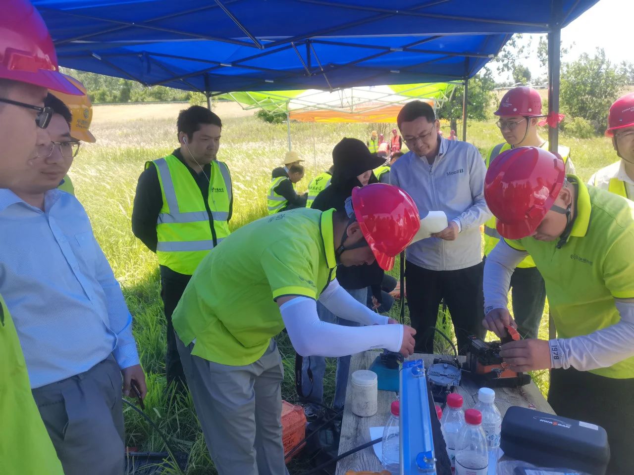 1737708643157784.jpg 1737708643157784.jpg